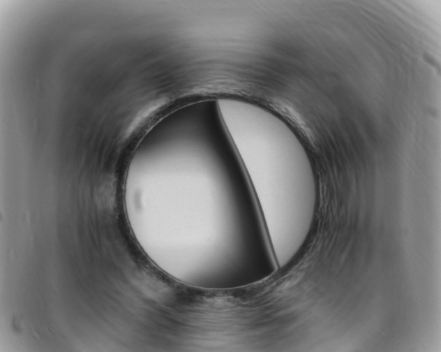 X0000096160396200801180856