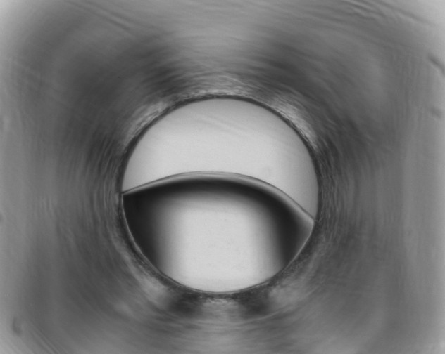 X0000096160397200801180856