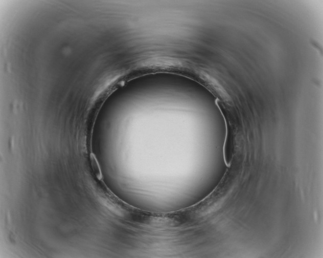 X0000096160399200801180856