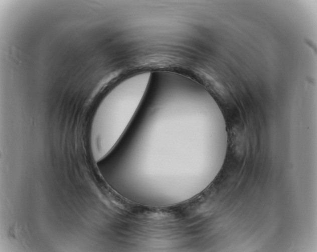X0000096160400200801180856