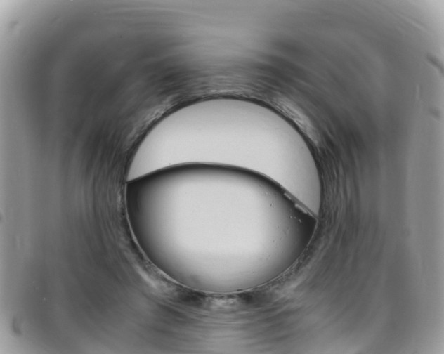 X0000096160401200801180856