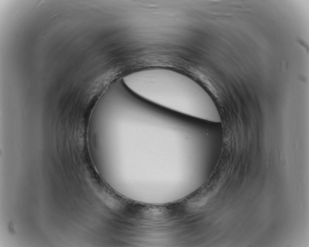 X0000096160402200801180856