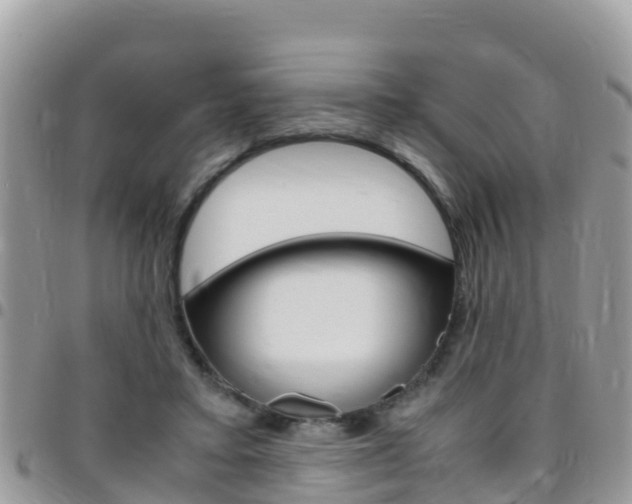 X0000096160403200801180856