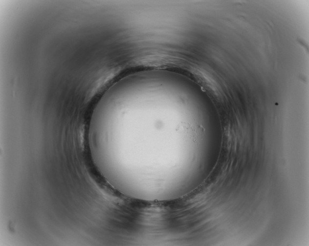 X0000096160404200801180856