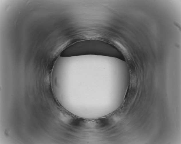X0000096160405200801180856