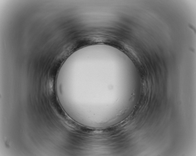 X0000096160406200801180856