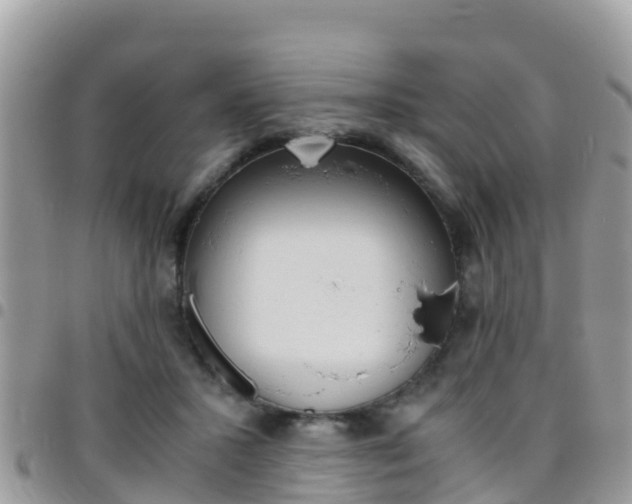 X0000096160407200801180856