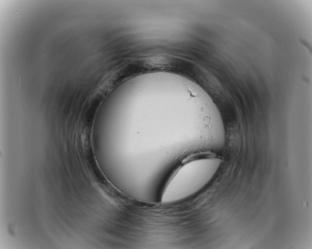 X0000096160408200801180856