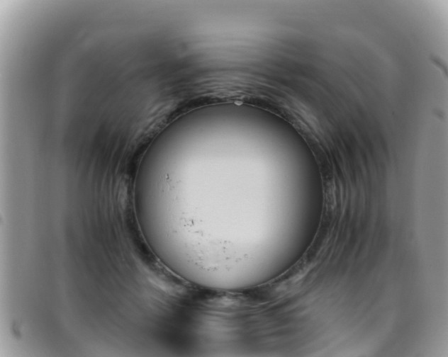 X0000096160412200801180856