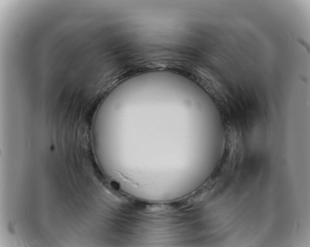 X0000096160414200801180856