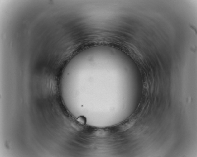 X0000096160416200801180856