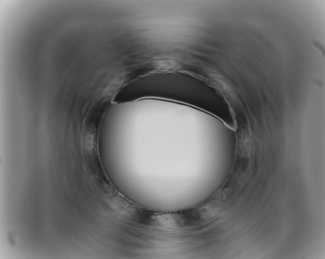 X0000096160417200801180856