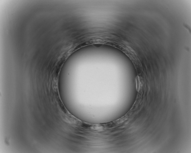 X0000096160419200801180855