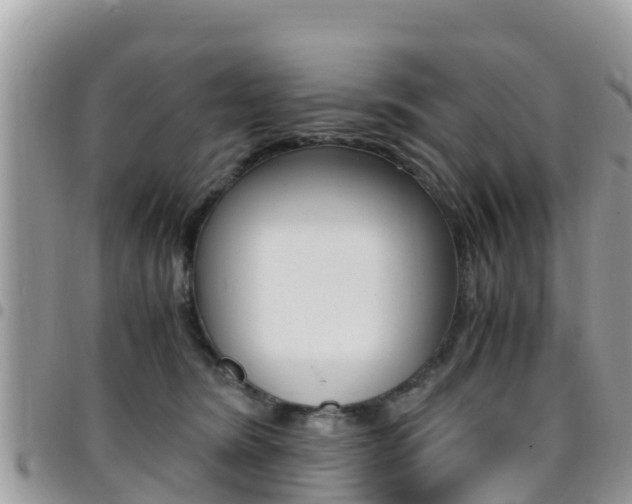 X0000096160420200801180855