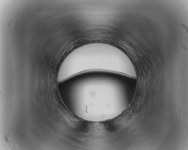 X0000096160421200801180855