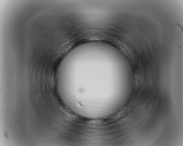 X0000096160422200801180855