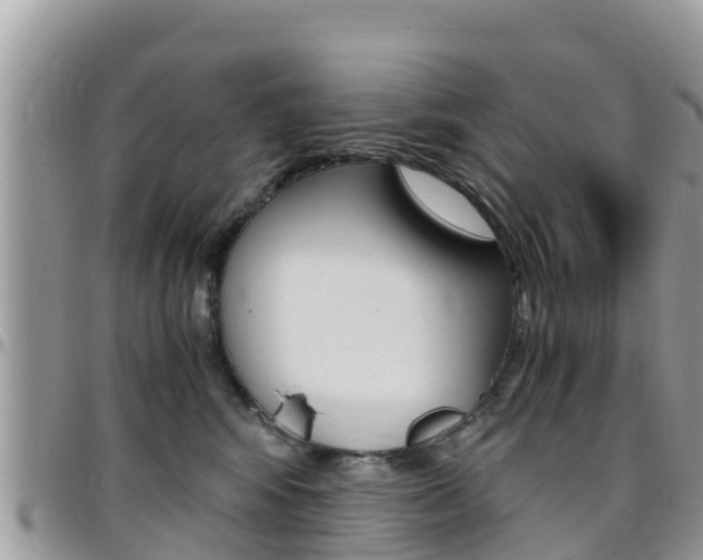 X0000096160424200801180855