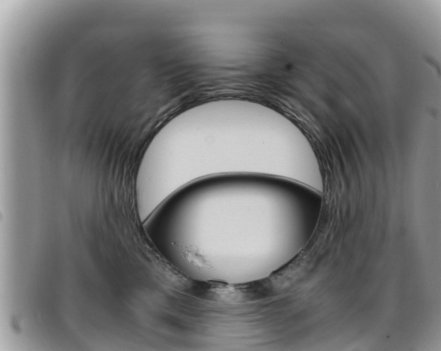 X0000096160425200801180855
