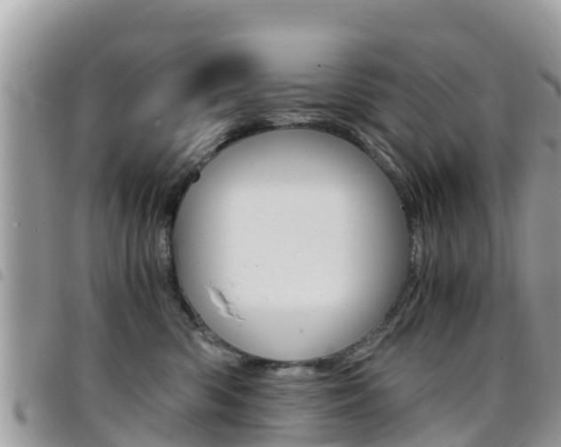 X0000096160426200801180855