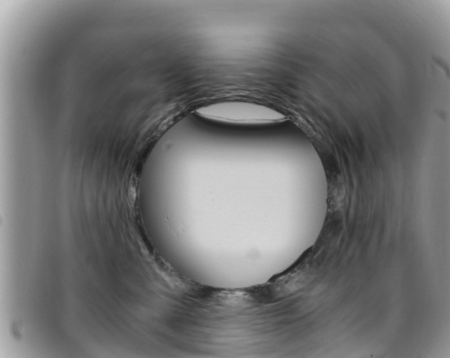 X0000096160427200801180855