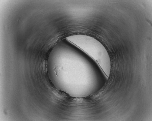 X0000096160428200801180855