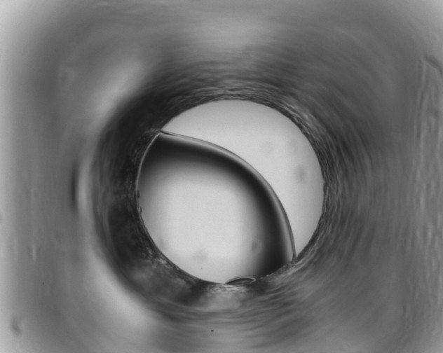 X0000096160429200801180855