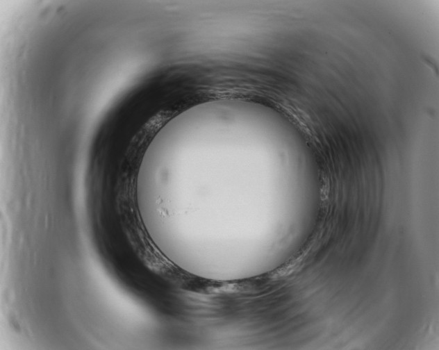 X0000096160430200801180855