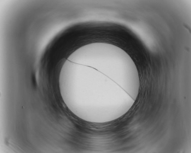 X0000096160431200801180855