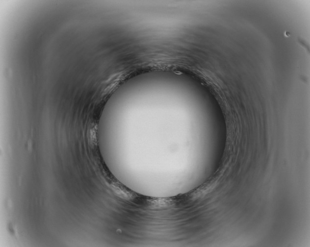 X0000096160432200801180855