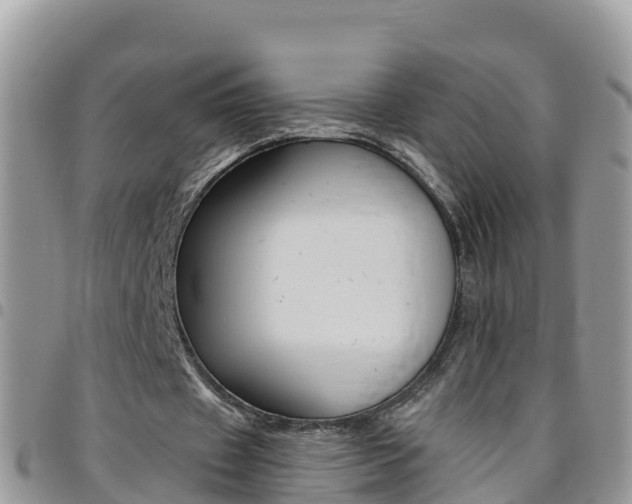 X0000096160433200801180855