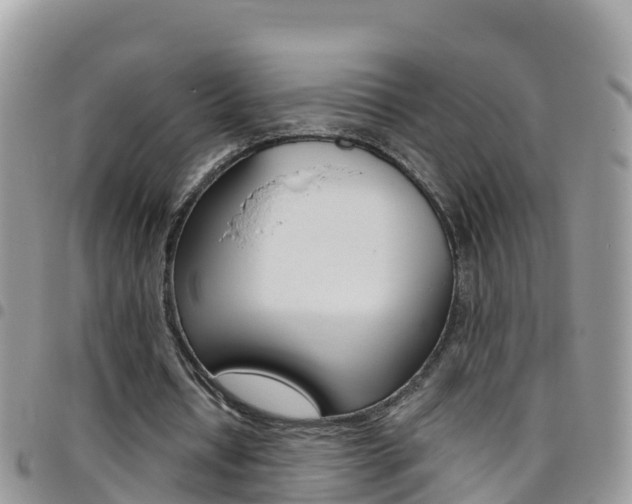 X0000096160434200801180855