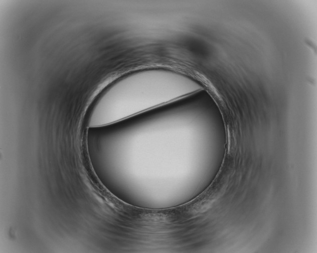 X0000096160435200801180855