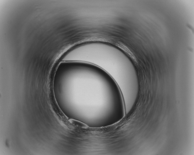 X0000096160436200801180855