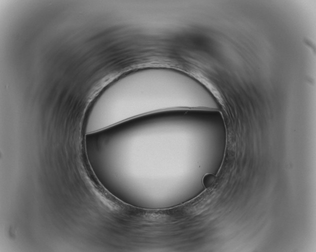 X0000096160437200801180855