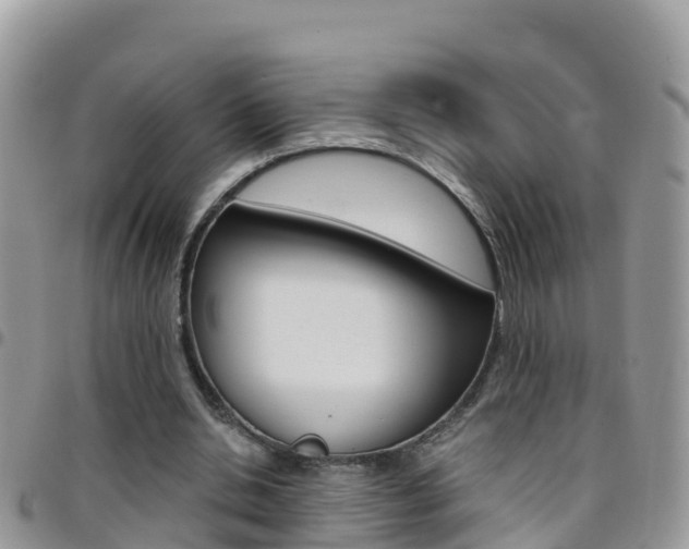 X0000096160438200801180855