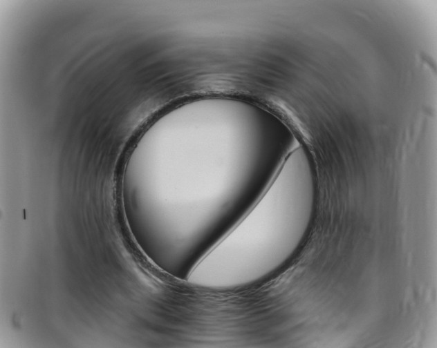 X0000096160439200801180855