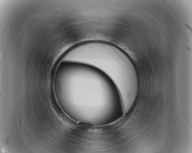 X0000096160440200801180855
