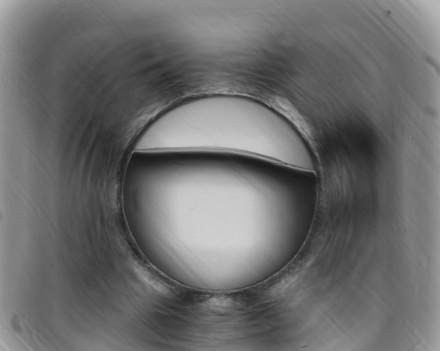 X0000096160441200801180855