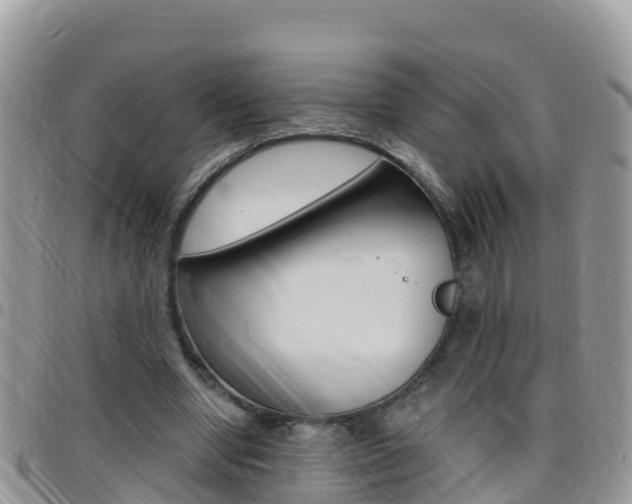 X0000096160442200801180855