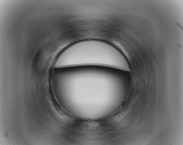 X0000096160443200801180855