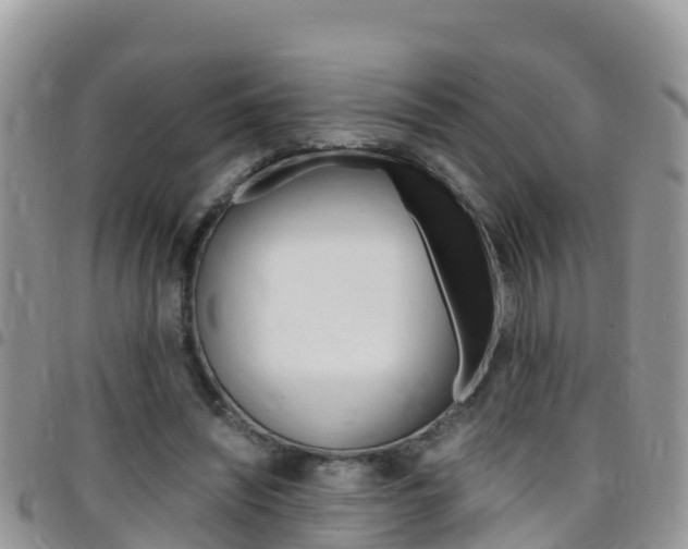 X0000096160444200801180855