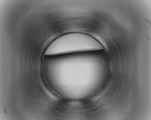 X0000096160445200801180855