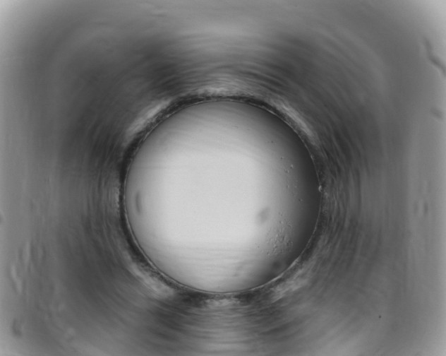 X0000096160446200801180855