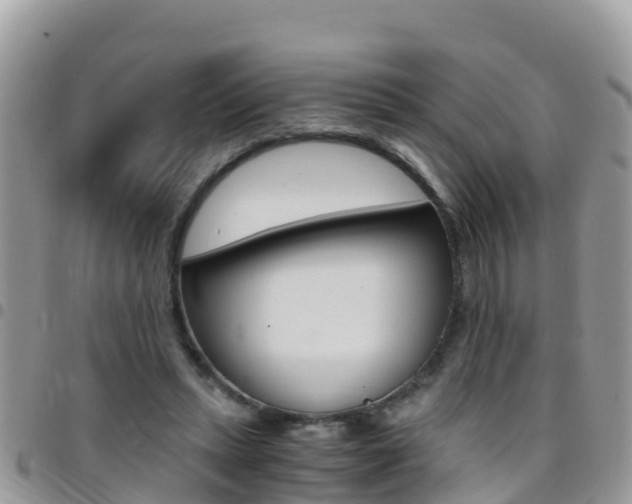X0000096160447200801180855