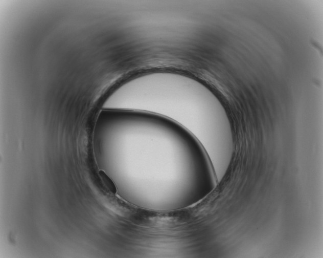 X0000096160448200801180855