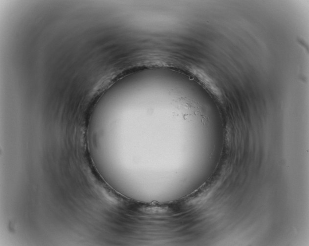 X0000096160449200801180855