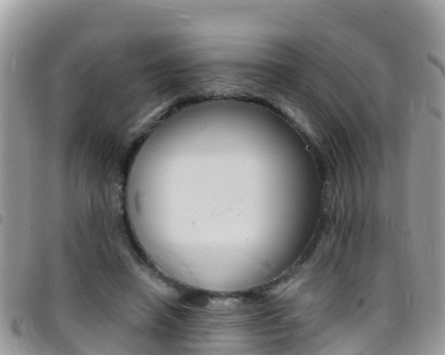 X0000096160450200801180855