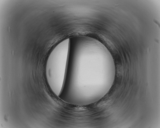 X0000096160451200801180855