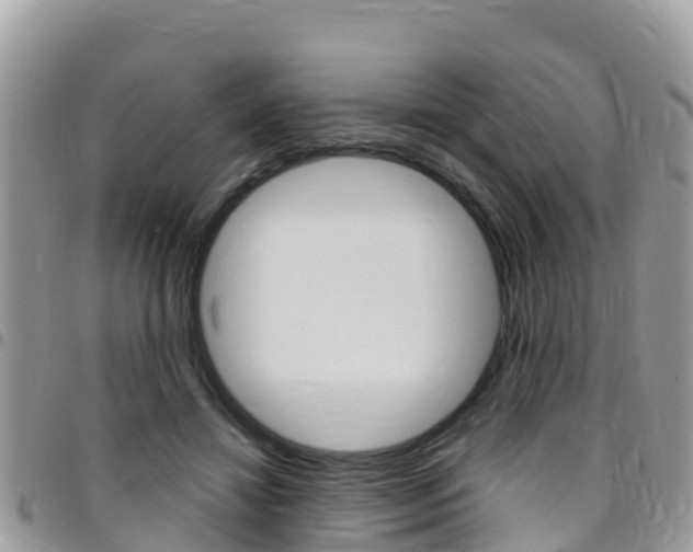 X0000096160452200801180855