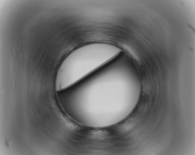 X0000096160453200801180855